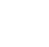 companybnpl_icon.png